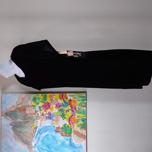 Late Edition Ltd Petite Velvet V Back Dress - Picture 3 of 8